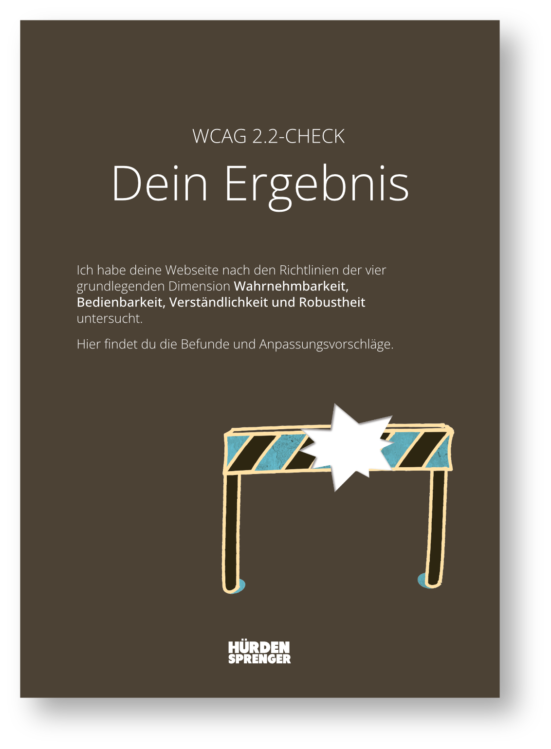 Beispielaudit: Kapiteleinstieg zum Bereich Wahrnehmbarkeit (WCAG-Prinzip 1)